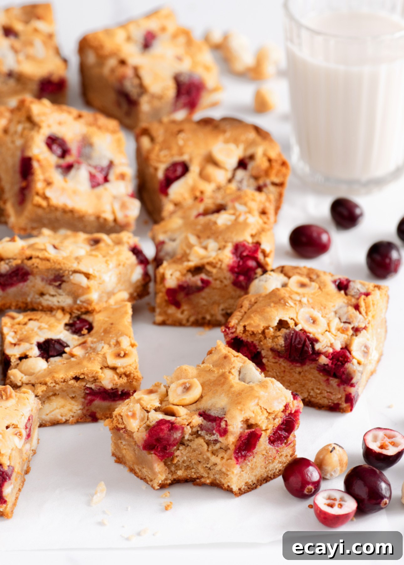 Cranberry Jewel Blondies with White Chocolate & Hazelnut 1 featured 6855