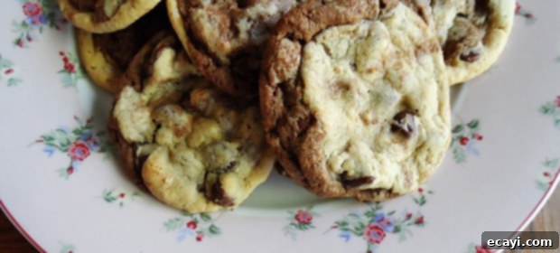 Double Delight Chocolate Chip Cookies 1 featured 6979