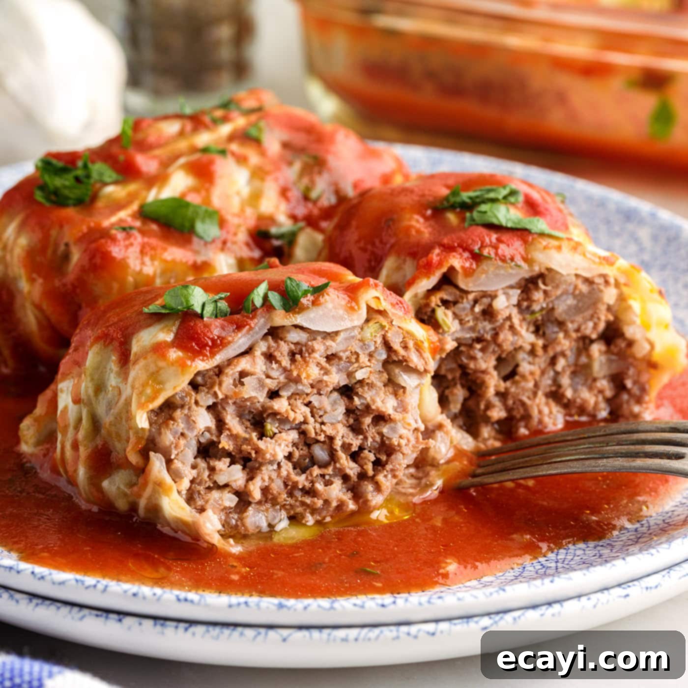 Stuffed Cabbage Delights 1 featured 70682