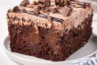 Decadent Chocolate Infusion Cake