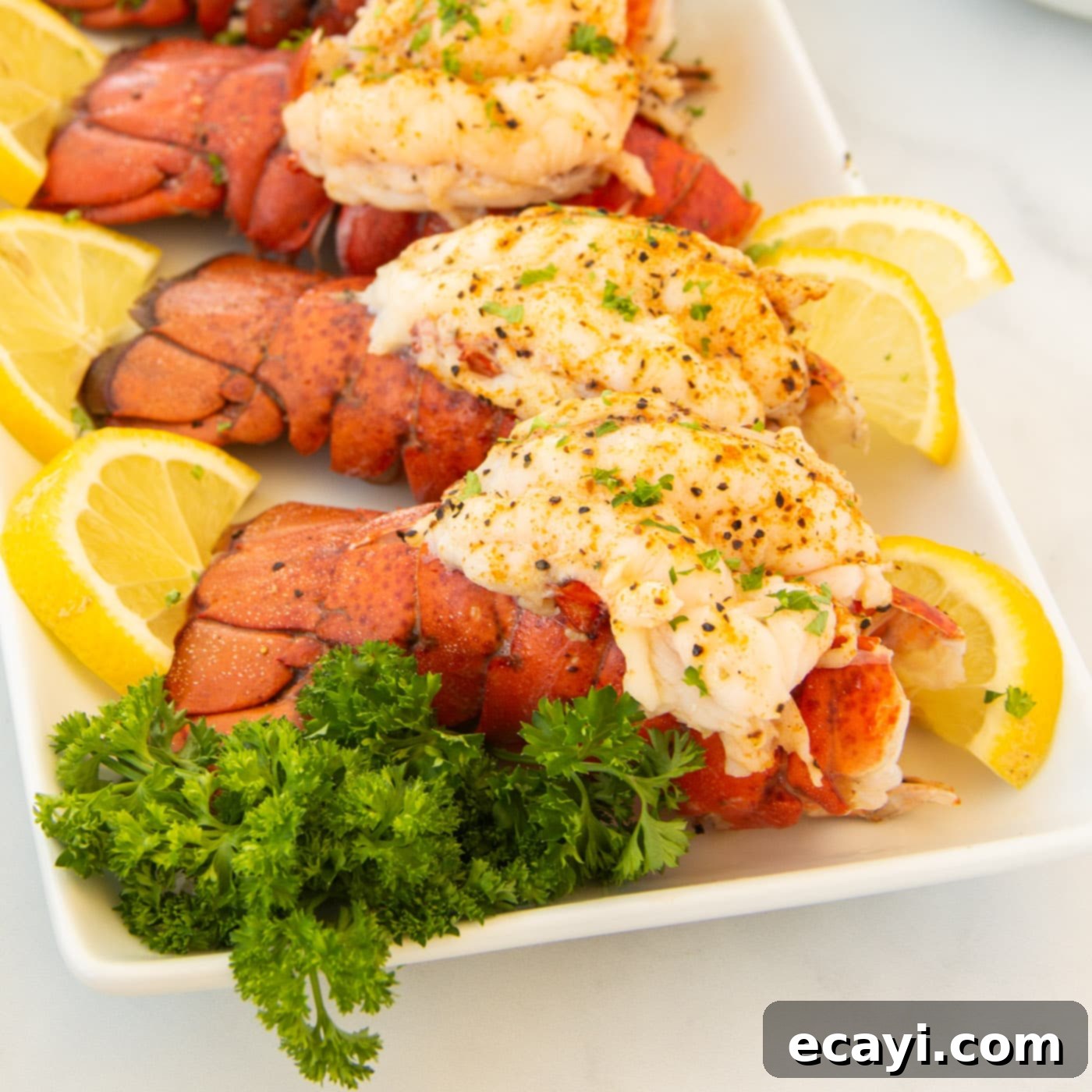 Succulent Steamed Lobster Tail 1 featured 73212