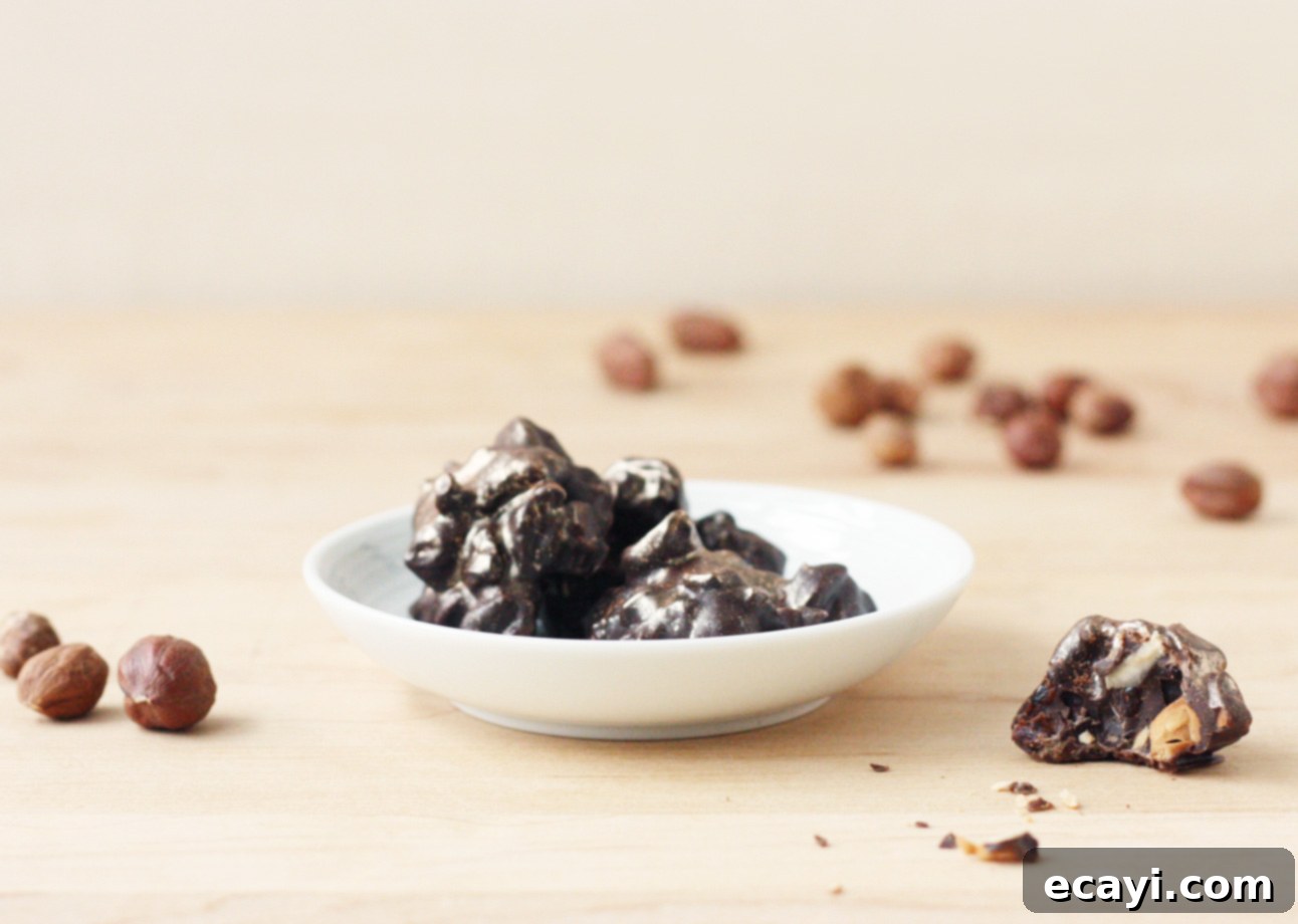 Rich Dark Chocolate Cherry Hazelnut Jewels 1 featured 7371