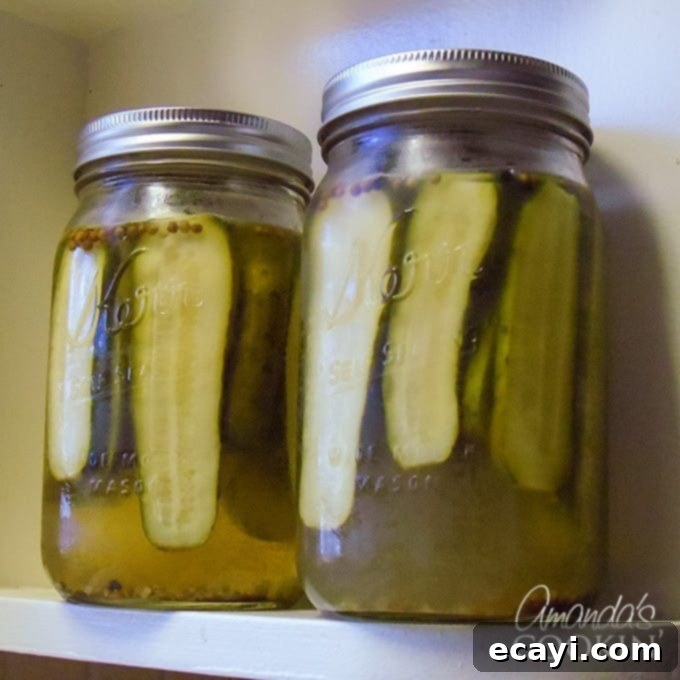 DIY Claussen Pickles 1 featured 7377
