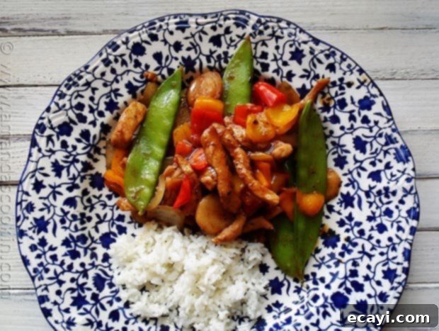 Peppery Pork Stir-Fry with Vibrant Bell Peppers 1 featured 7389