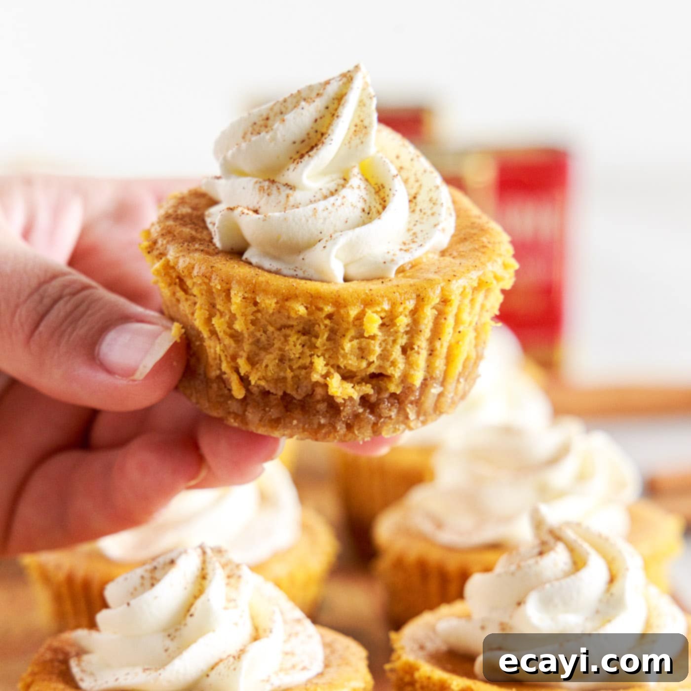 Spiced Mini Pumpkin Cheesecakes 1 featured 77578