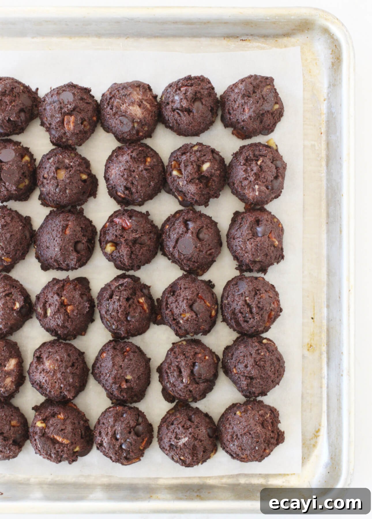 Irresistible Nutty Fudgy Chocolate Chip Cookies 1 featured 7771 1