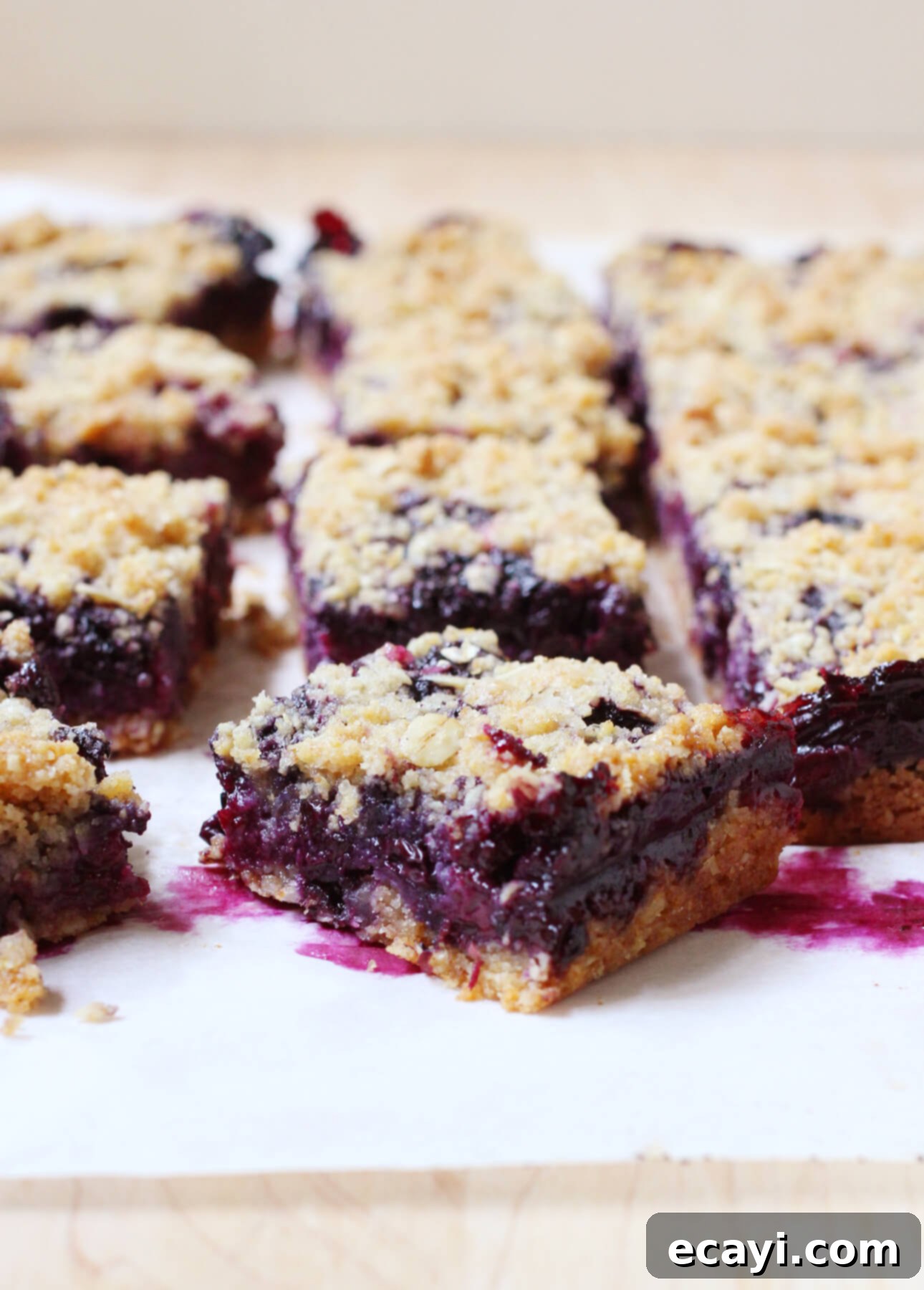 Homestyle Blueberry Oat Bars 1 featured 7789