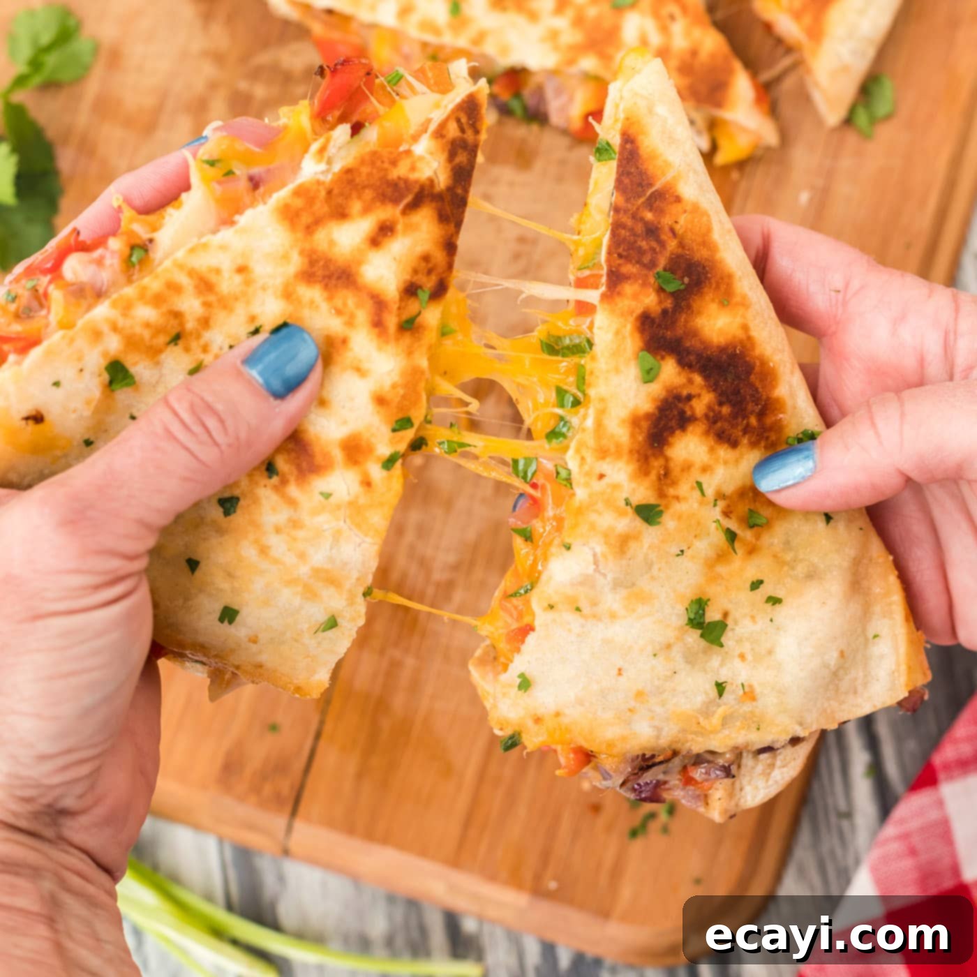 Savory Chicken Quesadilla 1 featured 78412