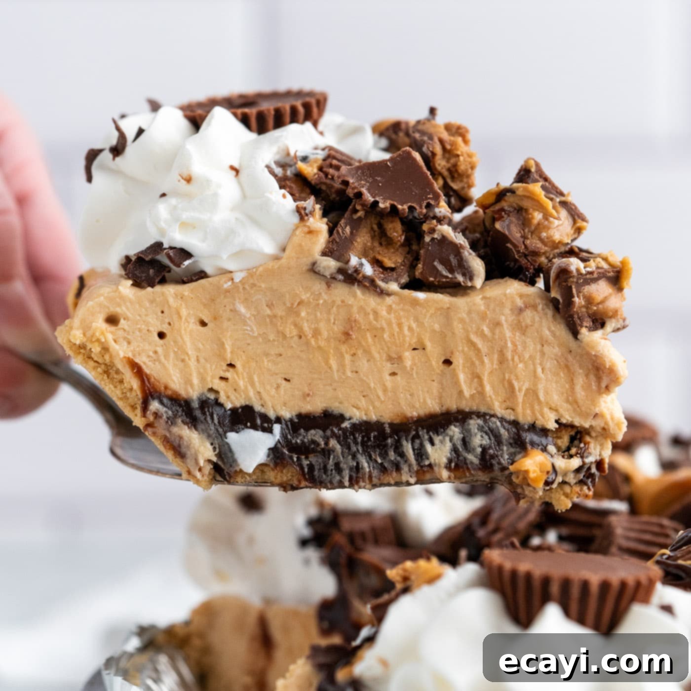 Peanut Butter Perfection Pie 1 featured 79562