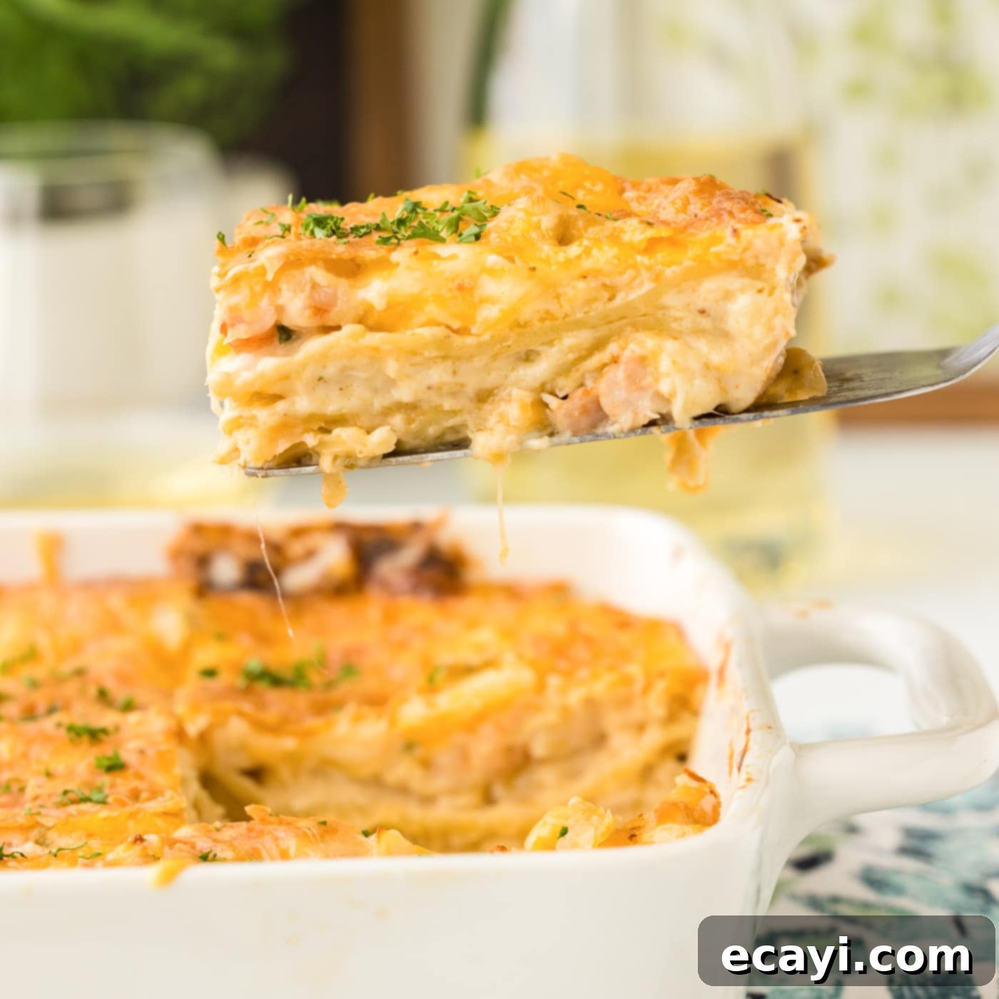 Ocean's Bounty Lasagna 1 featured 80103