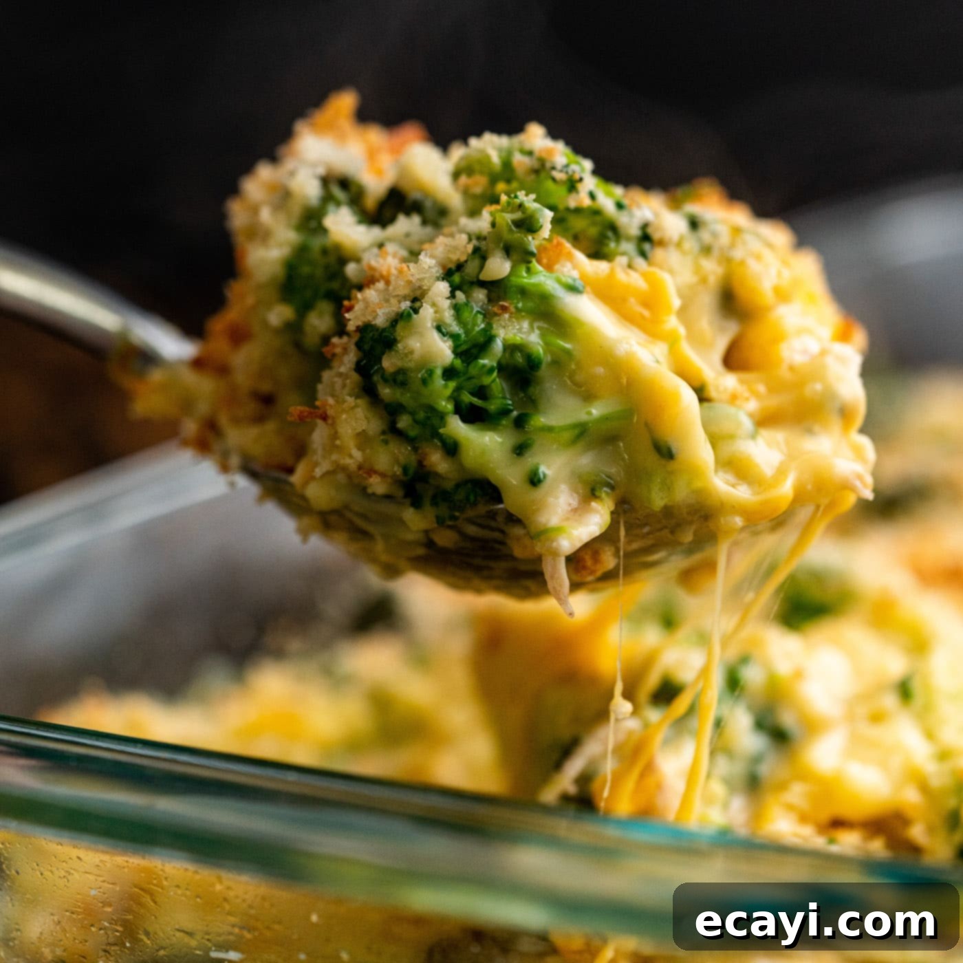 Creamy Chicken Broccoli Bake 1 featured 80153