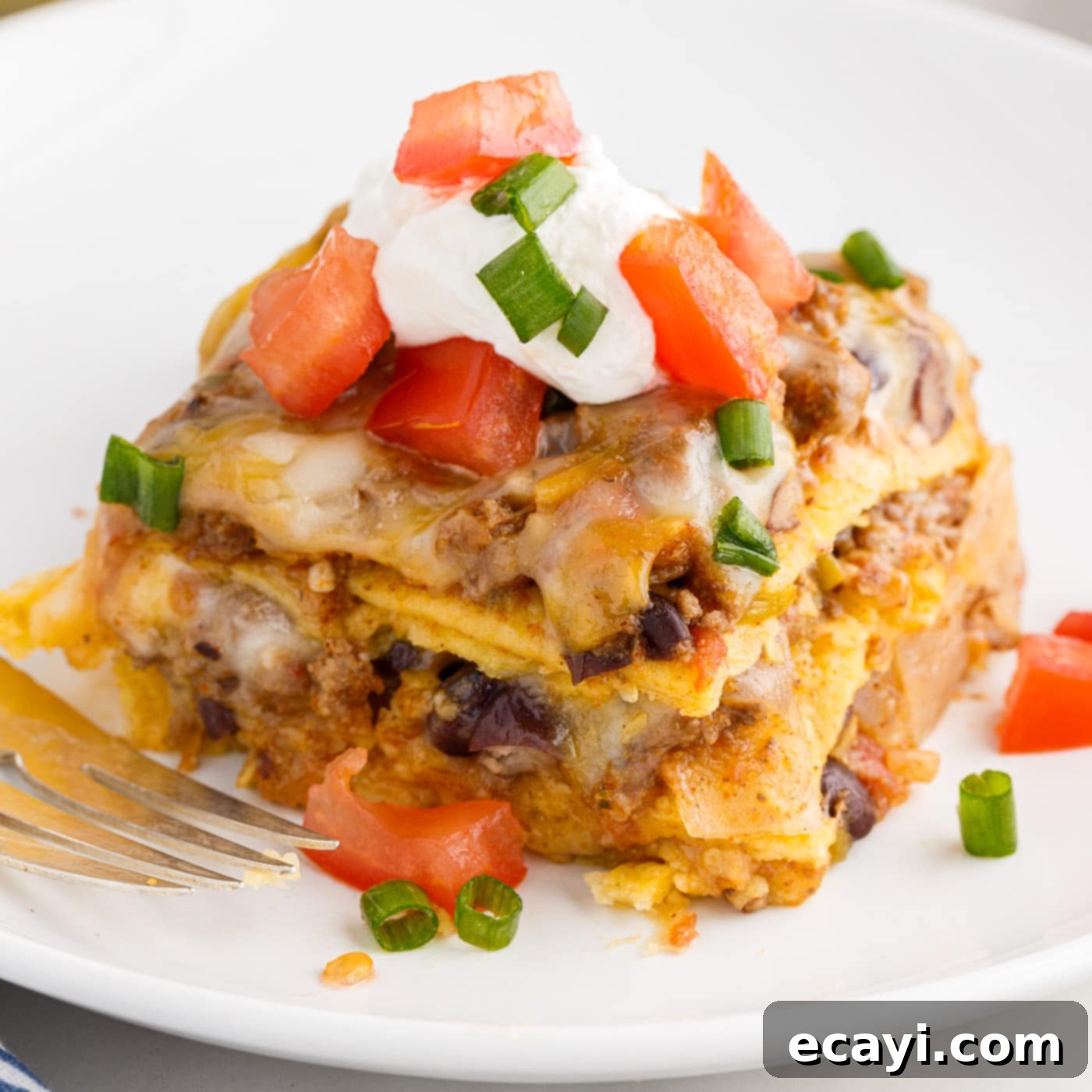 Tex-Mex Lasagna 3 featured 81309