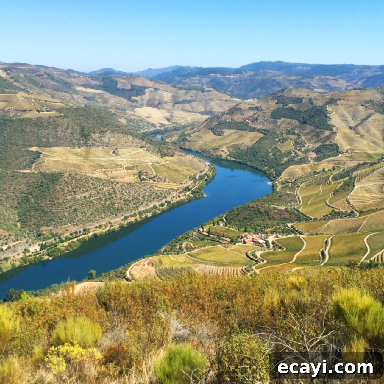 The Northern Portugal Enchantment 1 featured 8138