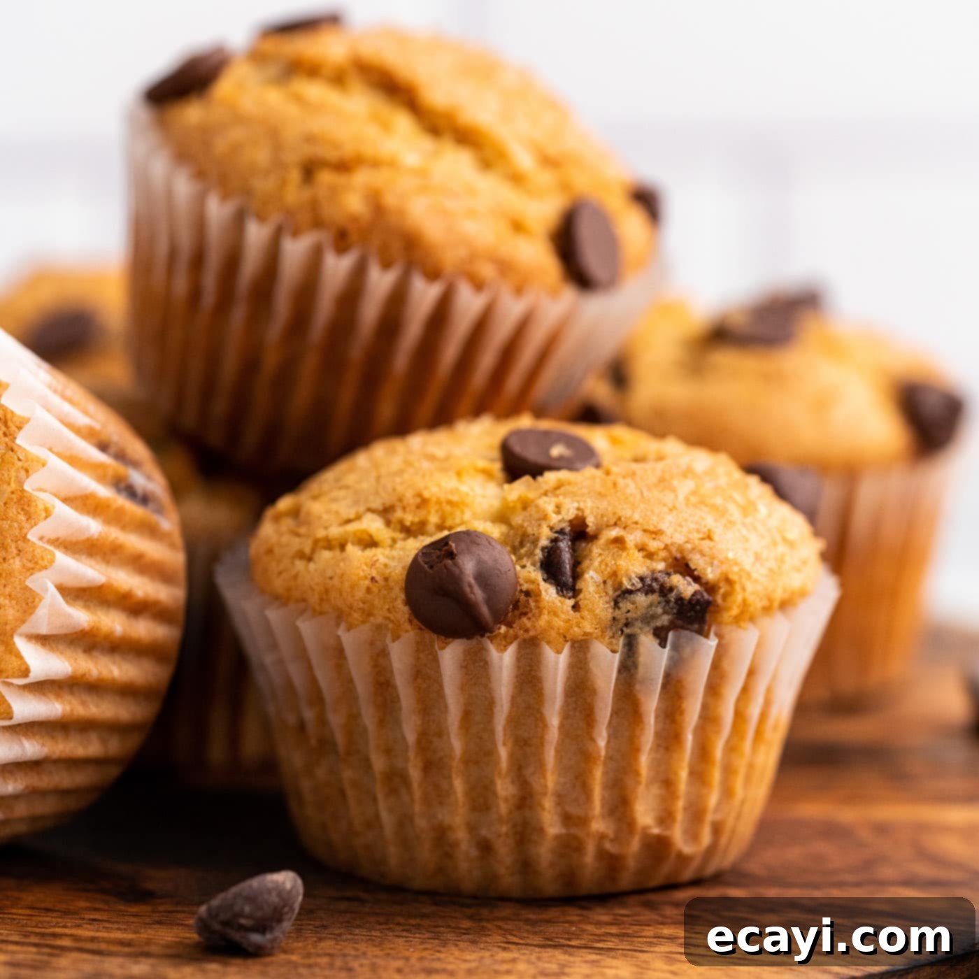 Heavenly Chocolate Chip Bites 1 featured 81978