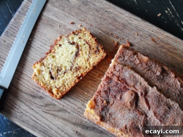Ribboned Cinnamon Raisin Quick Loaf 1 featured 8565