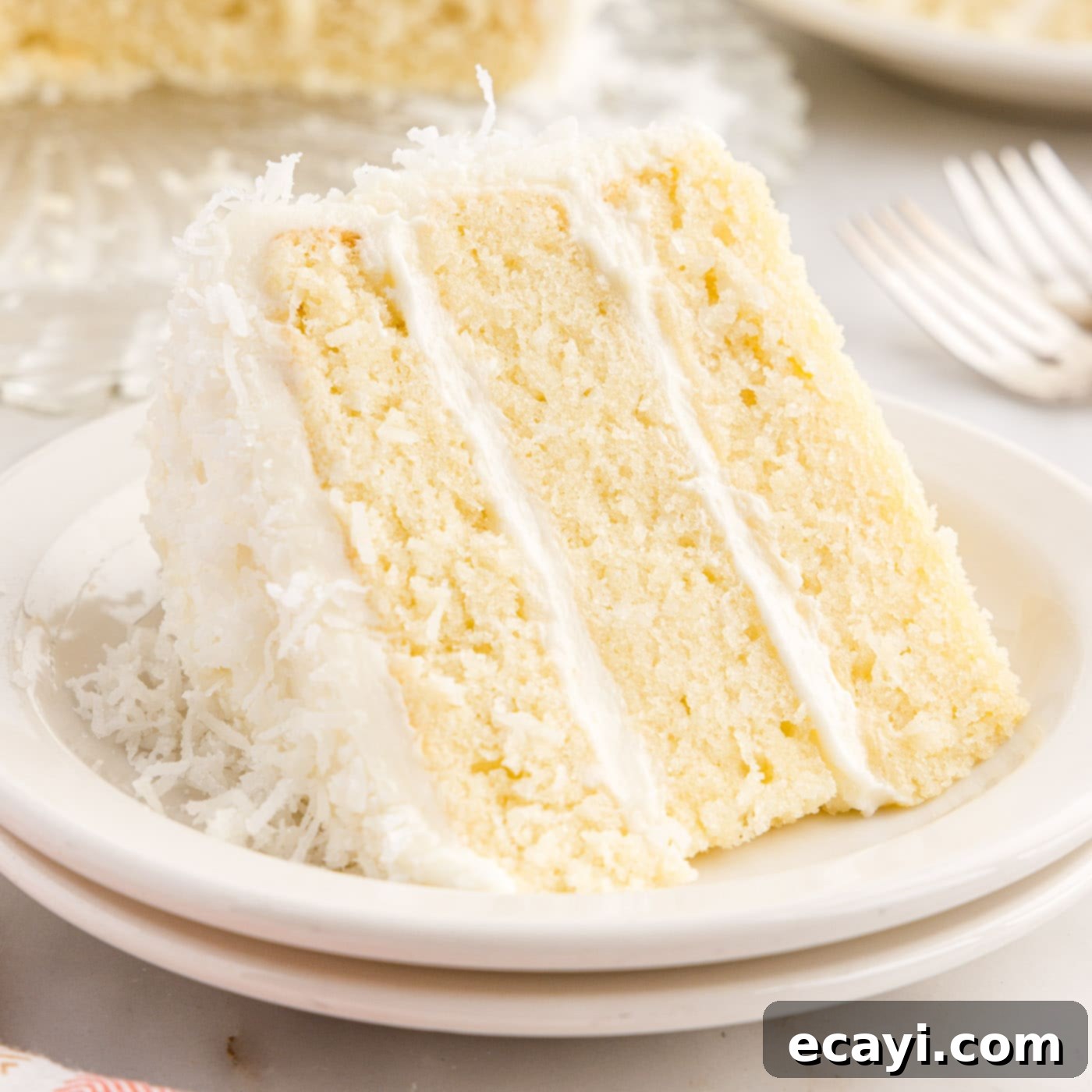 Tropical Cloud Cake 1 featured 88711
