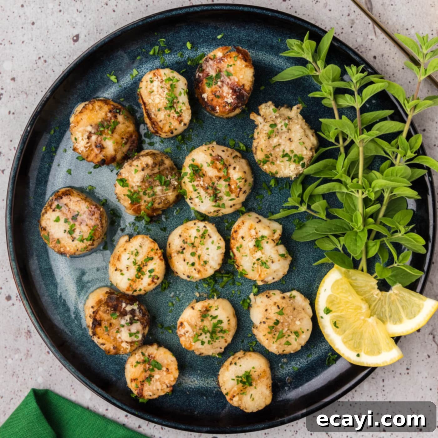 Succulent Grilled Scallops 1 featured 91464