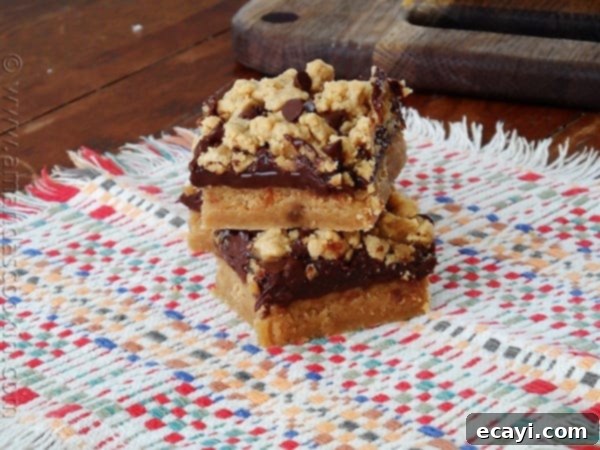 Peanut Butter Chocolate Bliss Bars 1 featured 9187