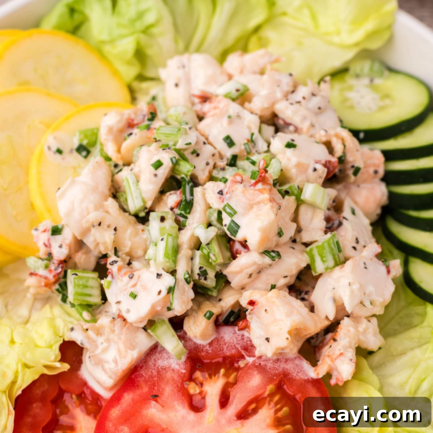 Classic Lobster Salad 1 featured 92496