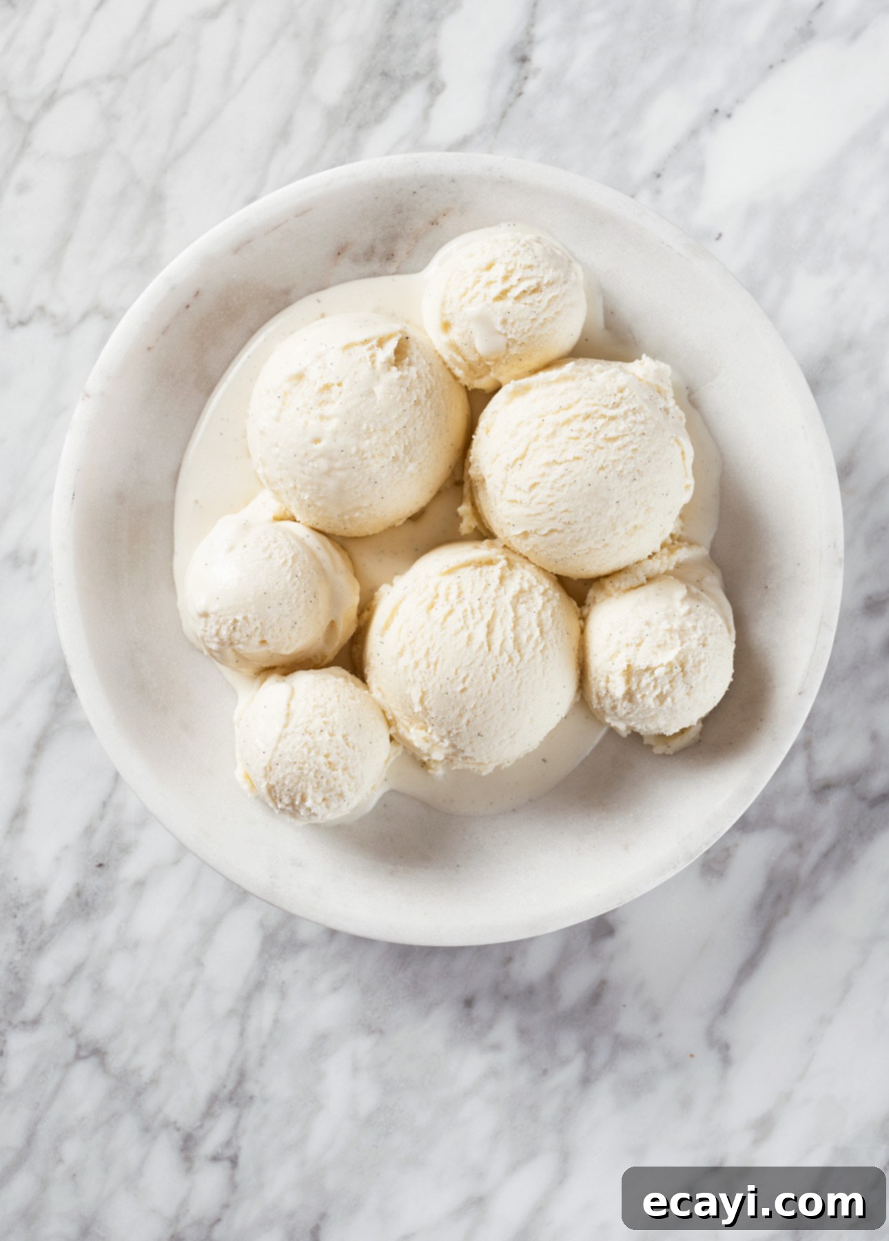 Dairy-Free Vegan Sicilian-Style Gelato Video Recipe 1 featured 9342