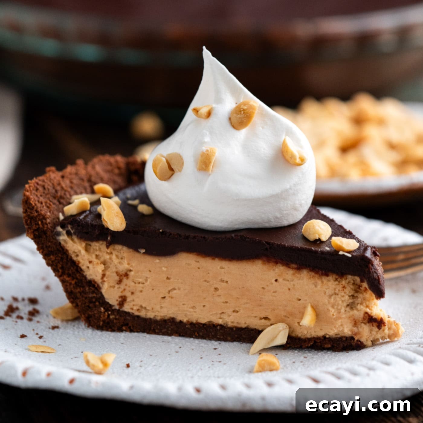 Decadent Peanut Butter Chocolate Dream 1 featured 94480