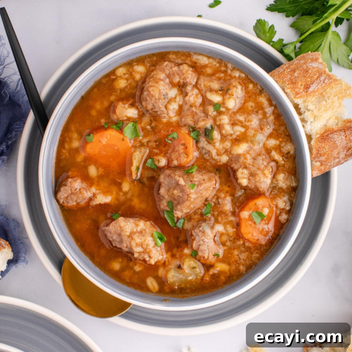 Wholesome Beef and Barley Comfort 1 featured 96375