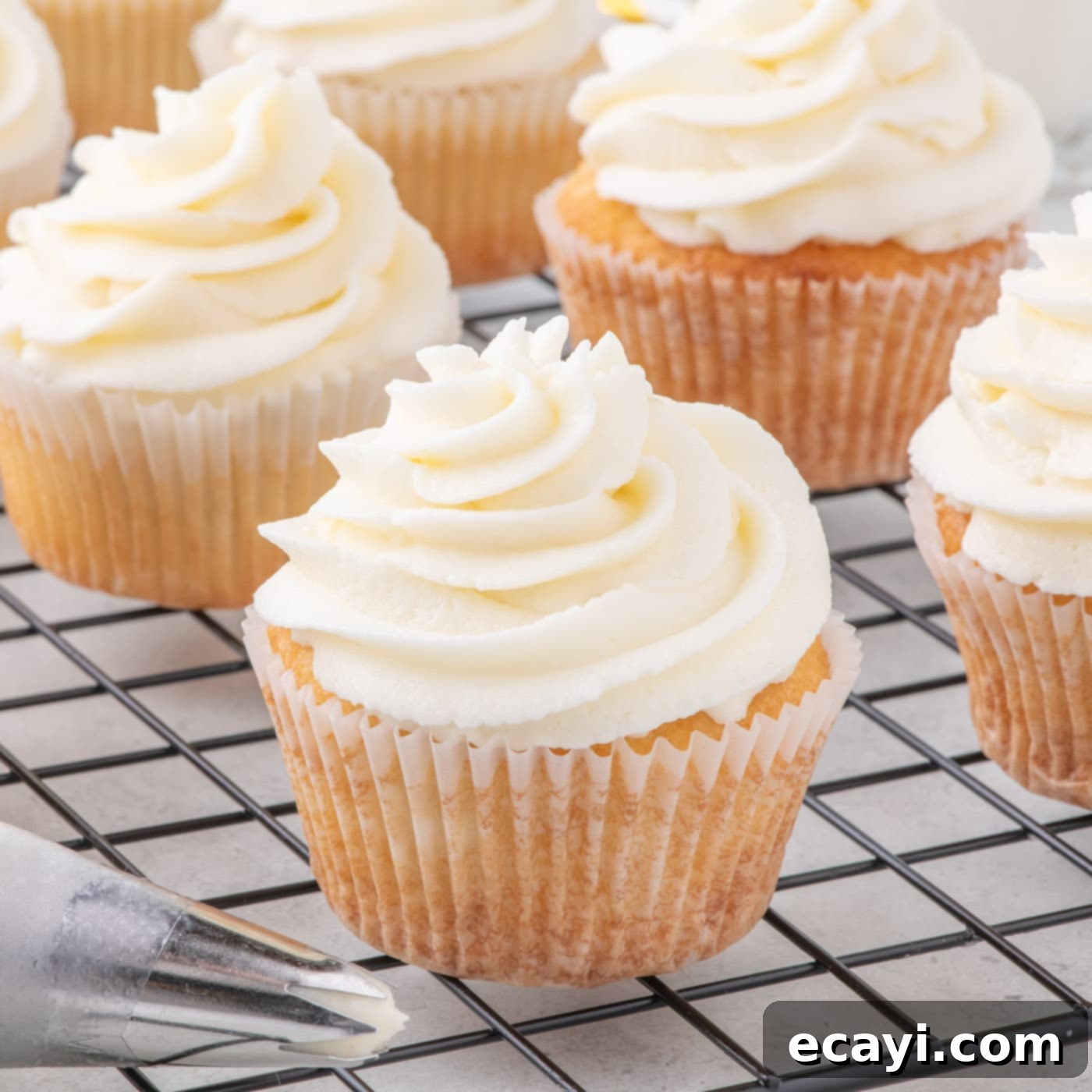 Vanilla Cupcakes 1 featured 98404