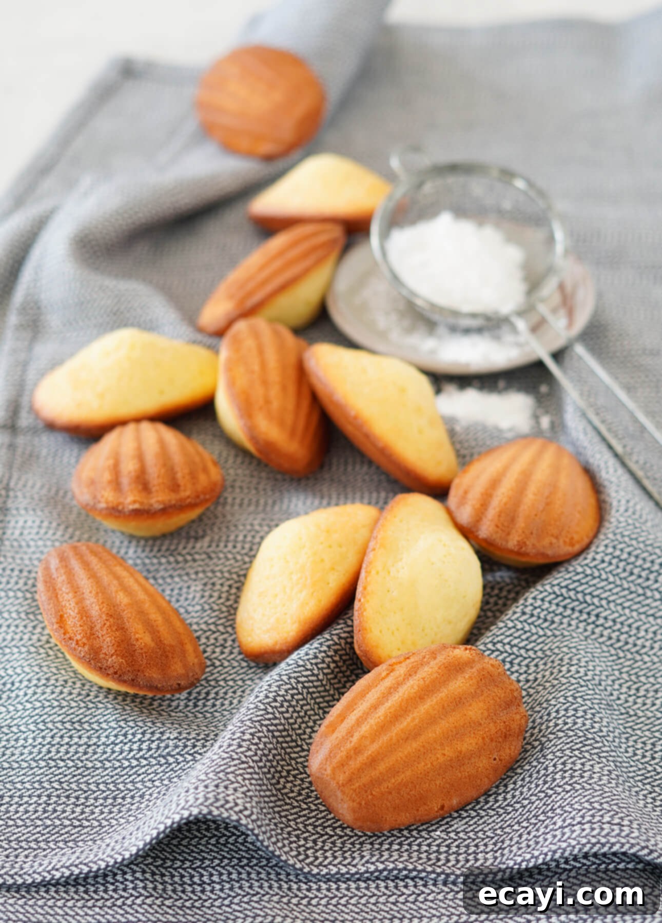 Your Step-by-Step Guide to Classic Madeleines 1 featured 9876
