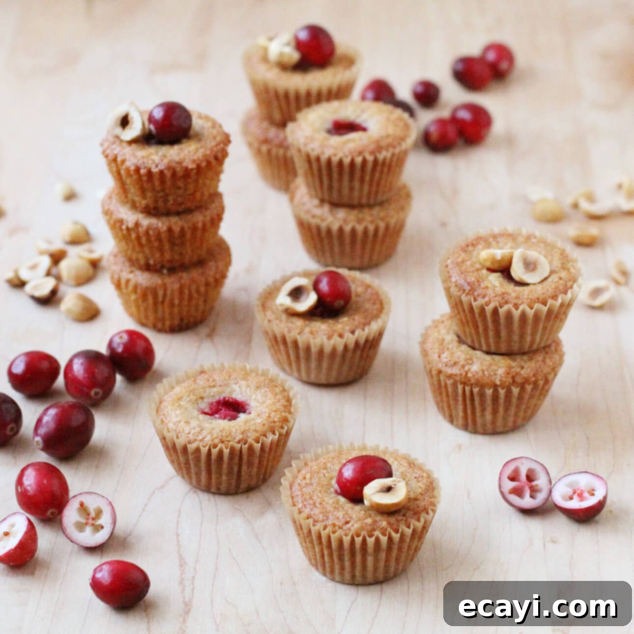Artisan Cranberry Hazelnut Financiers 1 featured 9880