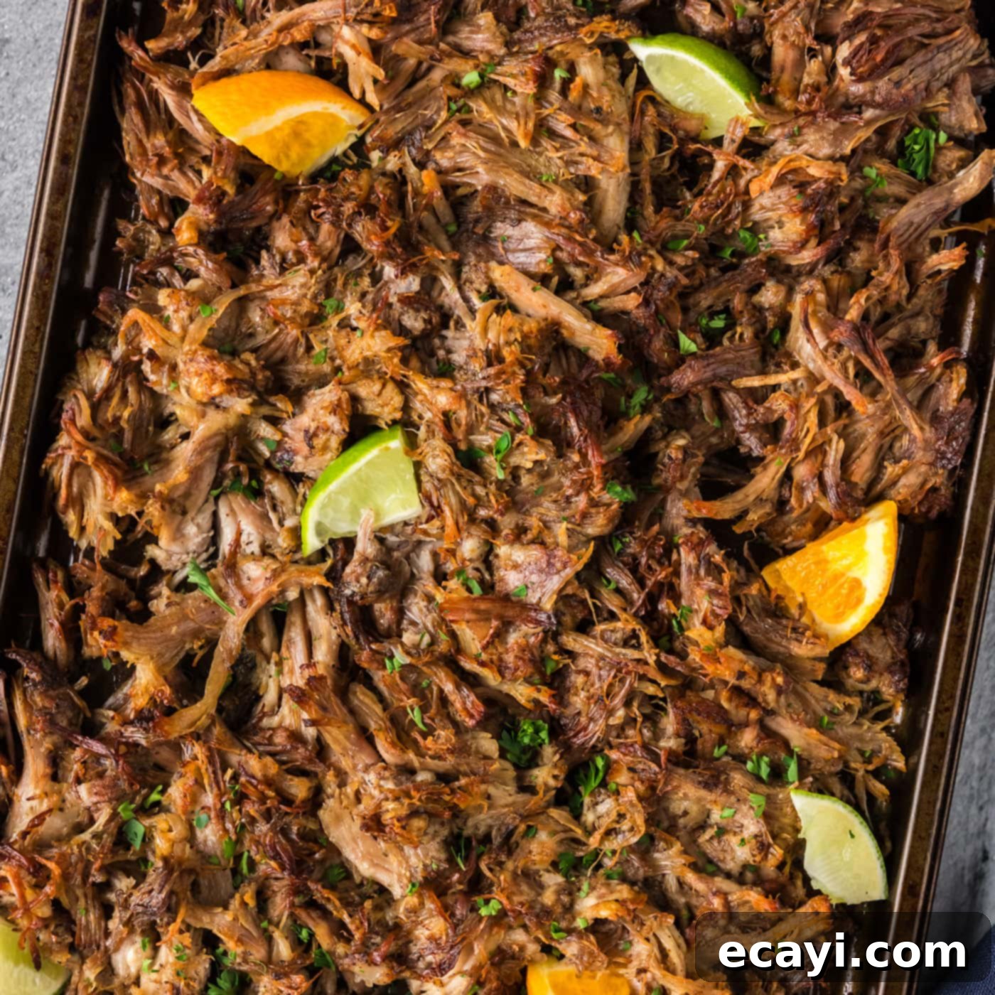 Crispy Instant Pot Carnitas 1 featured 98890