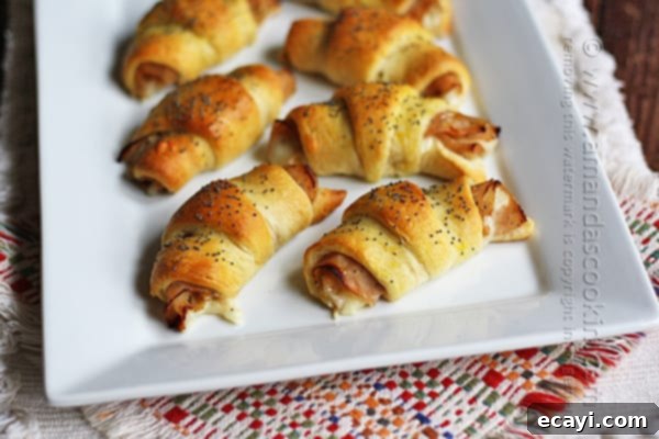 Turkey Pepper Jack Roll Ups with poppy seeds – a tasty appetizer for game day. Turkey Pepper Jack Roll Ups appetizer with poppyseed topping and golden crust
