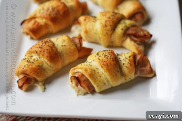 Flaky Turkey Pepper Jack Roll Ups with poppy seeds, perfect for appetizers. Turkey Pepper Jack Roll Ups with golden crescent pastry and poppy seeds