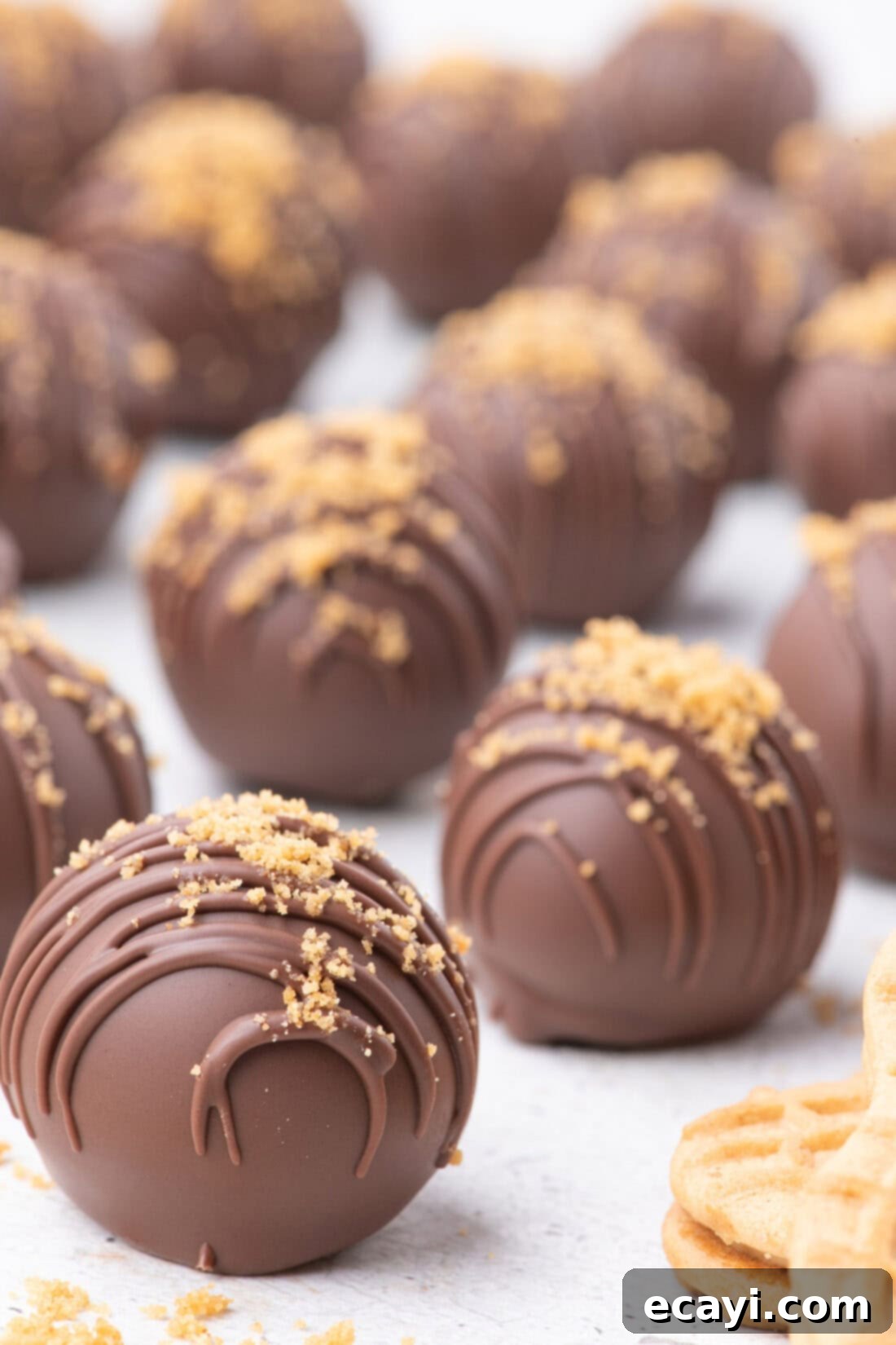 Peanut Butter Truffle Bites 3 Close-up photo of several chocolate-dipped Nutter Butter Balls with cookie crumb topping