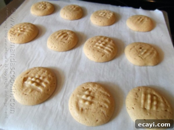Chocolate-Stuffed Peanut Butter Perfection 8 A close-up of a baking sheet filled with perfectly golden-brown chocolate-filled peanut butter cookies, fresh out of the oven, still on the parchment paper. The cookies appear slightly puffed, and the criss-cross pattern is clearly visible.