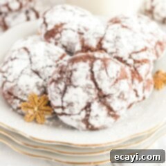 Fudgy Snowdrift Delights 7 chocolate snow cookies
