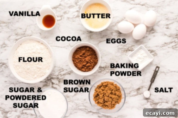 Fudgy Snowdrift Delights 2 ingredients for chocolate brownie snow cookies