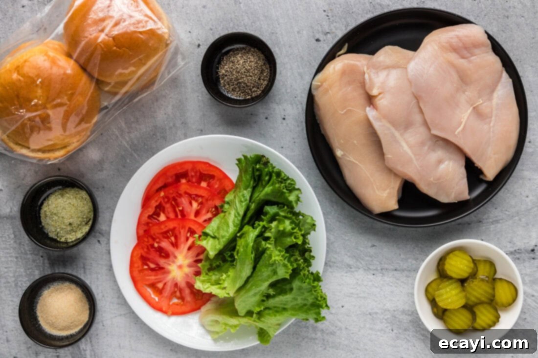 Crispy Chicken Sandwich 4 A flat lay image displaying all the fresh ingredients needed for a delicious grilled chicken sandwich: chicken breasts, seasonings, buns, and fresh vegetables.