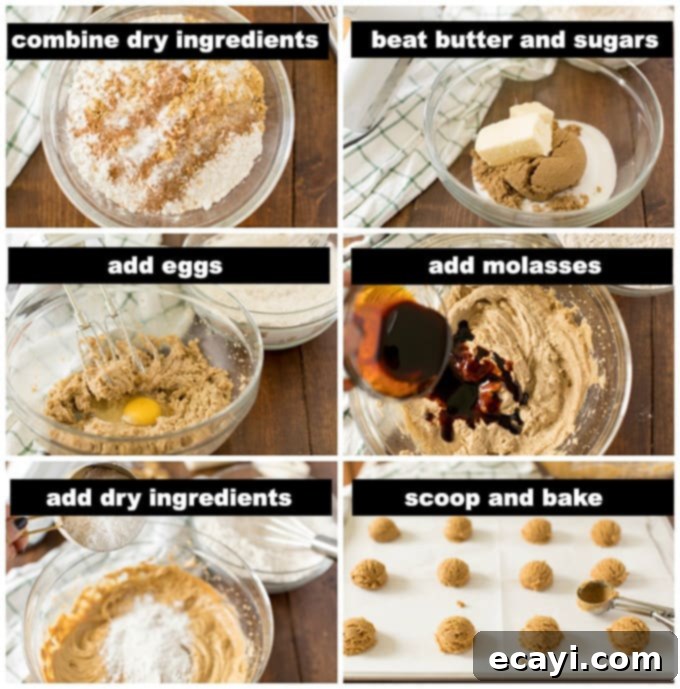 Mixing ingredients for homemade gingersnap cookies Illustrated step-by-step photos showing the process of mixing dry and wet ingredients for gingersnap cookies, leading to a stiff dough