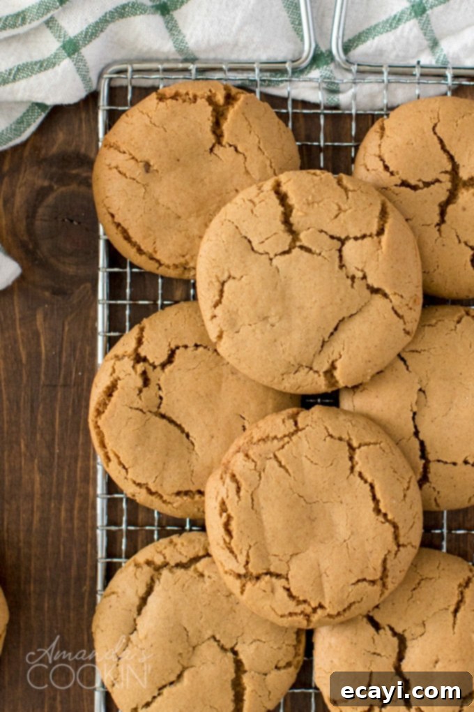 Gingersnap cookies cooling on a wire rack Freshly baked gingersnap cookies cooling on a wire rack, showing their crinkled tops and perfect texture