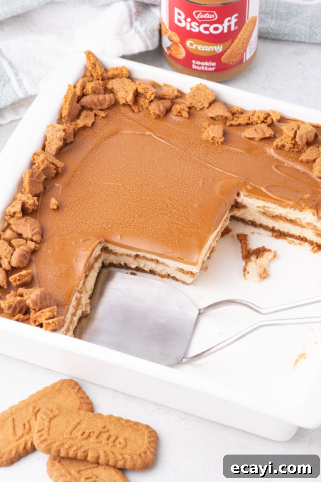 No-Bake Biscoff Bliss 15 Overhead photo of a Biscoff Icebox Cake with slices removed, showing its delicious layers