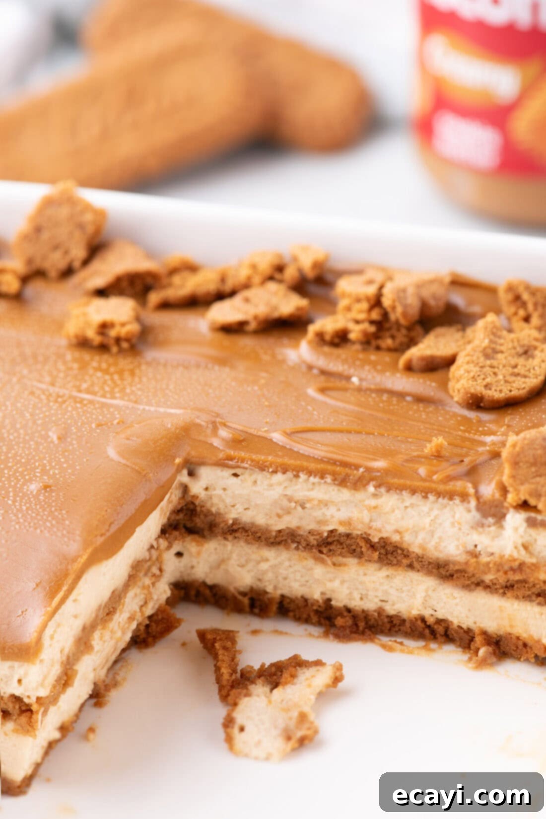 No-Bake Biscoff Bliss 3 Side shot of a Biscoff Icebox Cake with slices removed, showing distinct layers