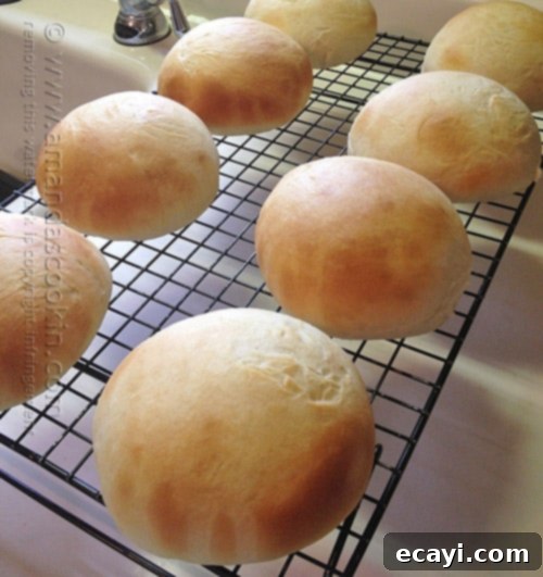 Soft and Fluffy Homemade Burger Buns 10 Delicious homemade hamburger buns cooling on a wire rack, ready for your favorite burger fillings.