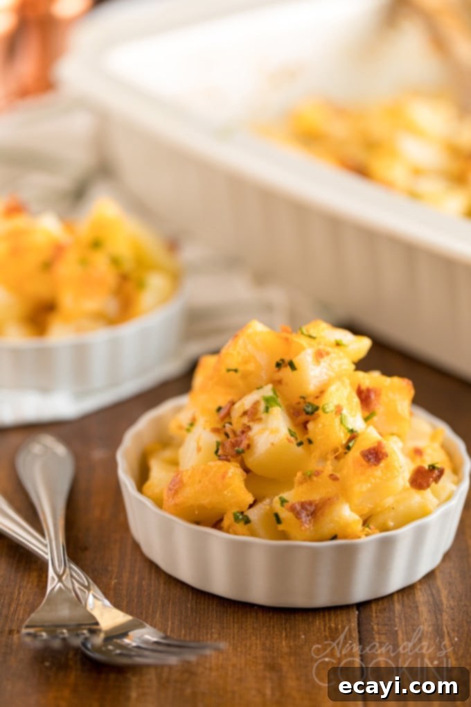 Cheddar, Monterey jack and smoked mozzarella come together in this delicious three cheese potatoes dish. Perfect to serve a crowd or to bring to a potluck. A small, elegant dish filled with golden-brown cheesy potatoes, adorned with fresh green chives, showcasing a perfectly baked individual serving.