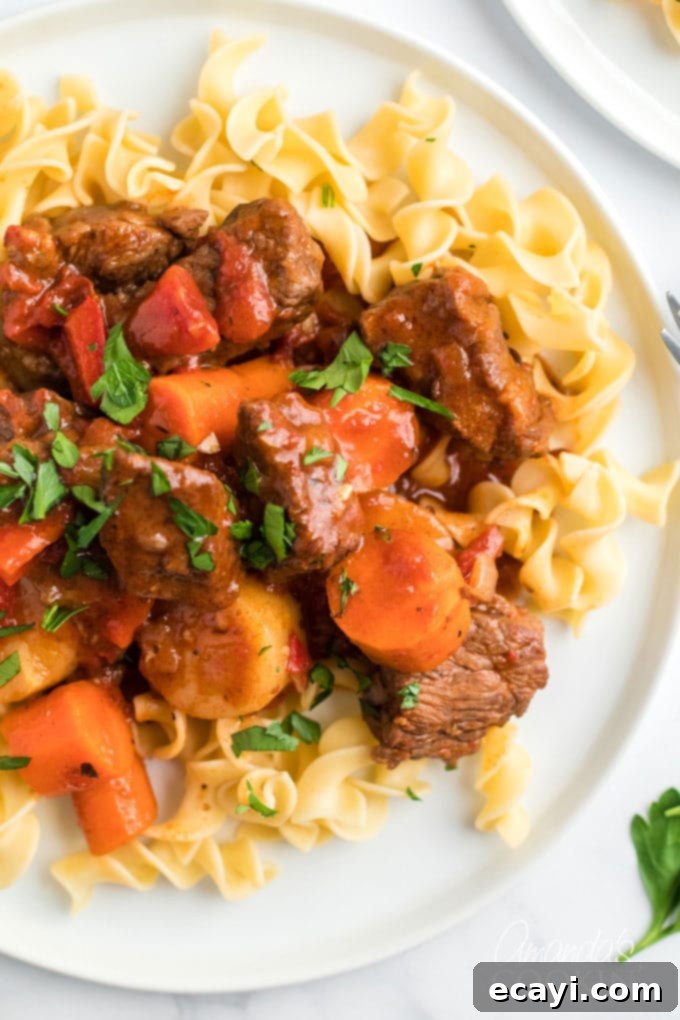 Hearty Slow Cooker Hungarian Goulash with Noodles 2 plate of hungarian goulash over egg noodles