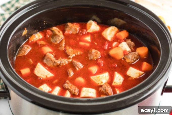 Hearty Slow Cooker Hungarian Goulash with Noodles 11 bef and vegetables in crockpot