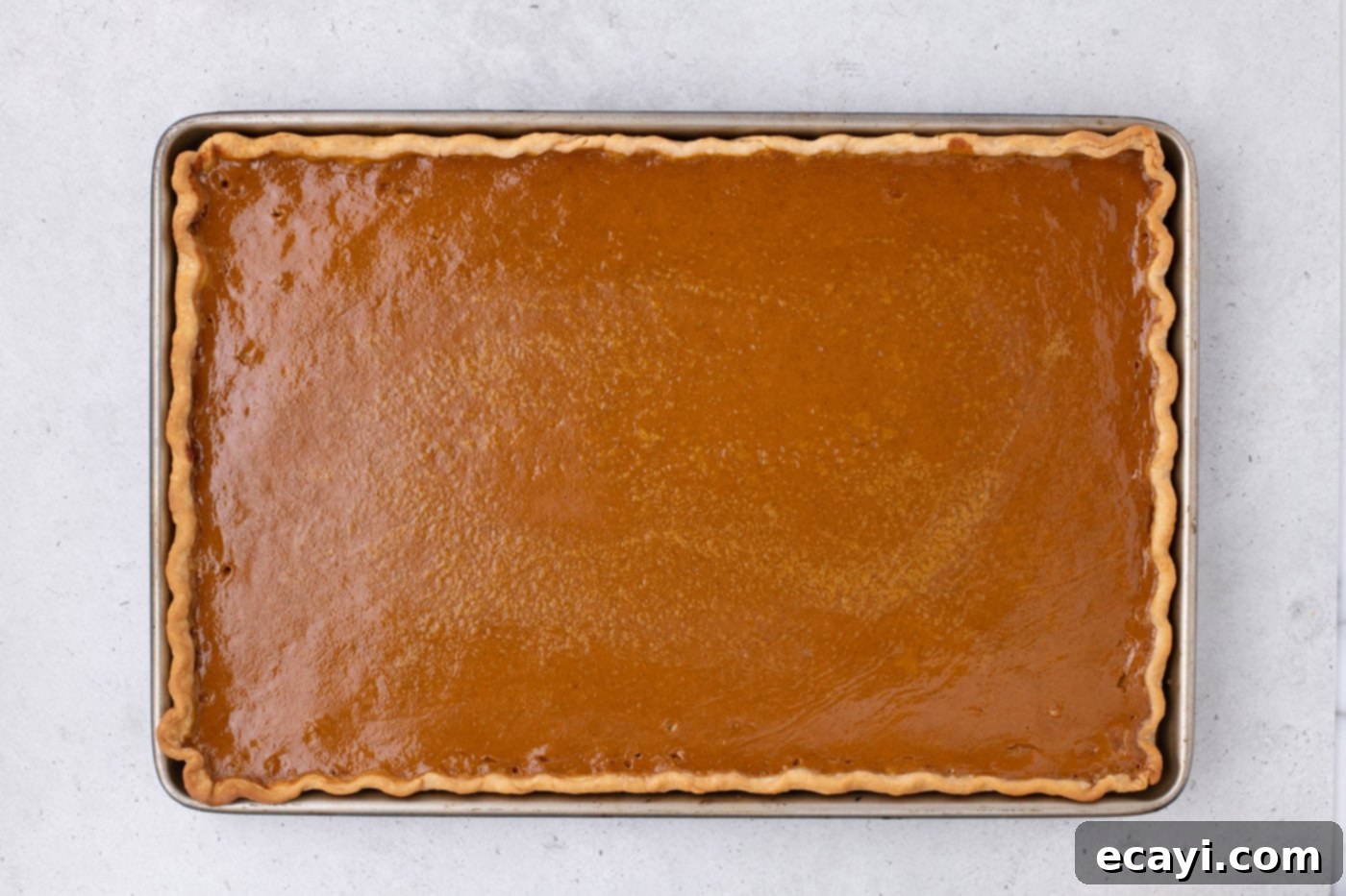 Family Sized Sheet Pan Pumpkin Pie 17 baked pumpkin slab pie in a jelly roll pan