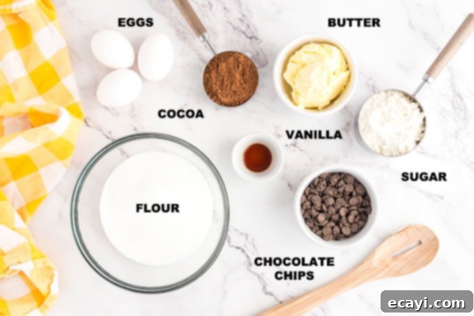 Gather your ingredients for the best homemade fudgy brownies Close-up of the seven simple ingredients laid out for making fudge brownies