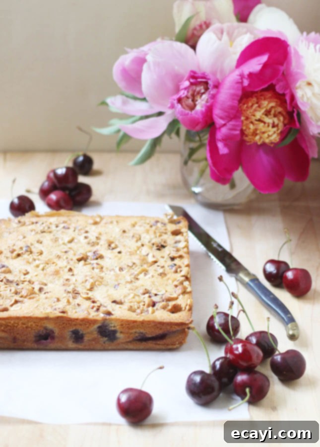 Brown Butter Hazelnut Cherry Custard Bars 3 A vibrant display of Brown Butter, Hazelnut, and Cherry Clafoutis Bars, ready to be enjoyed as a perfect summer dessert.