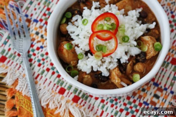 Vibrant Three Bean Salsa Chicken and Rice 2 A close up overhead of a white bowl filled with three bean salsa chicken and rice.