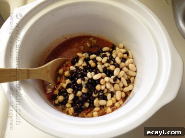 Vibrant Three Bean Salsa Chicken and Rice 6 Add drained beans to salsa mixture in the crock pot